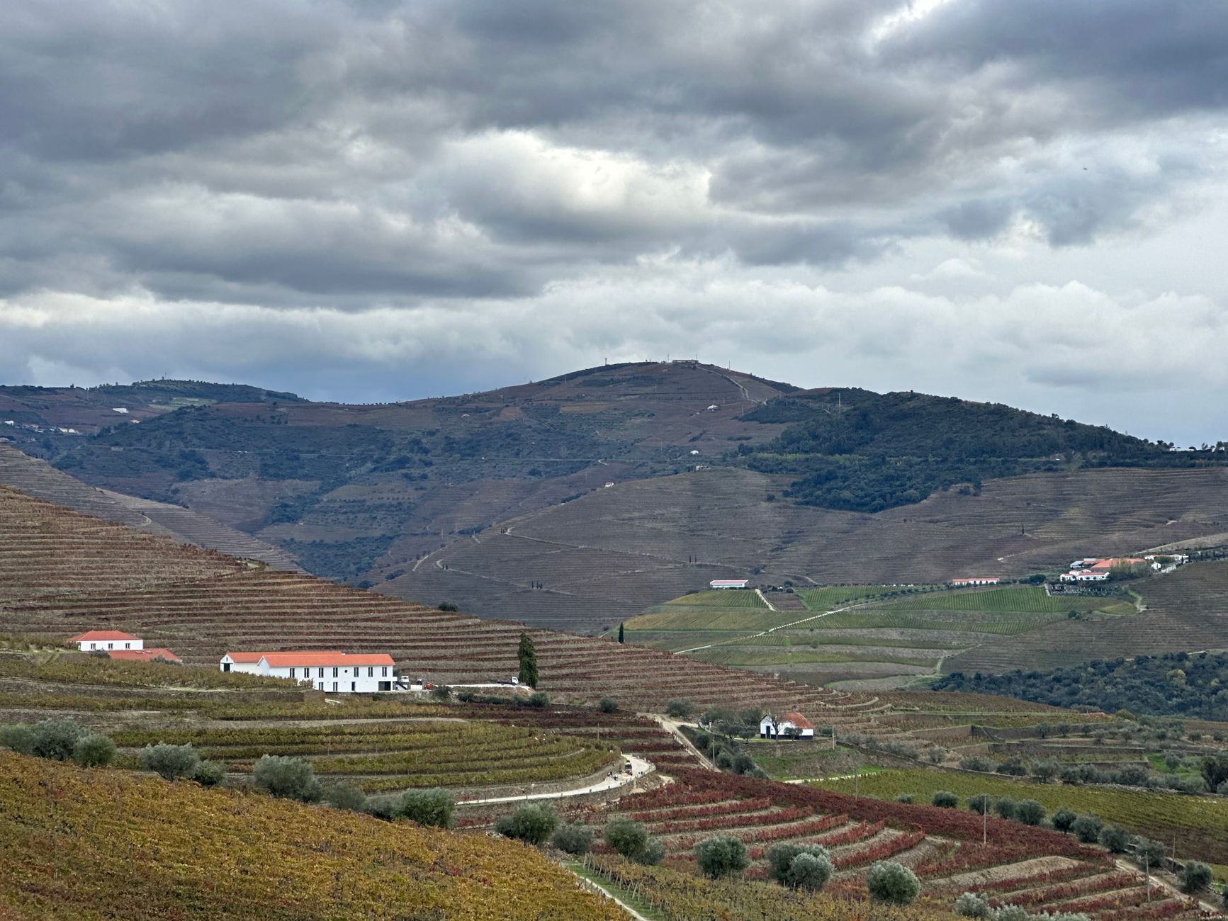 Douro Valley Wine Estates
