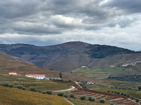 Expansive view of terraced vineyards in Douro Valley, Portugal under cloudy skies.