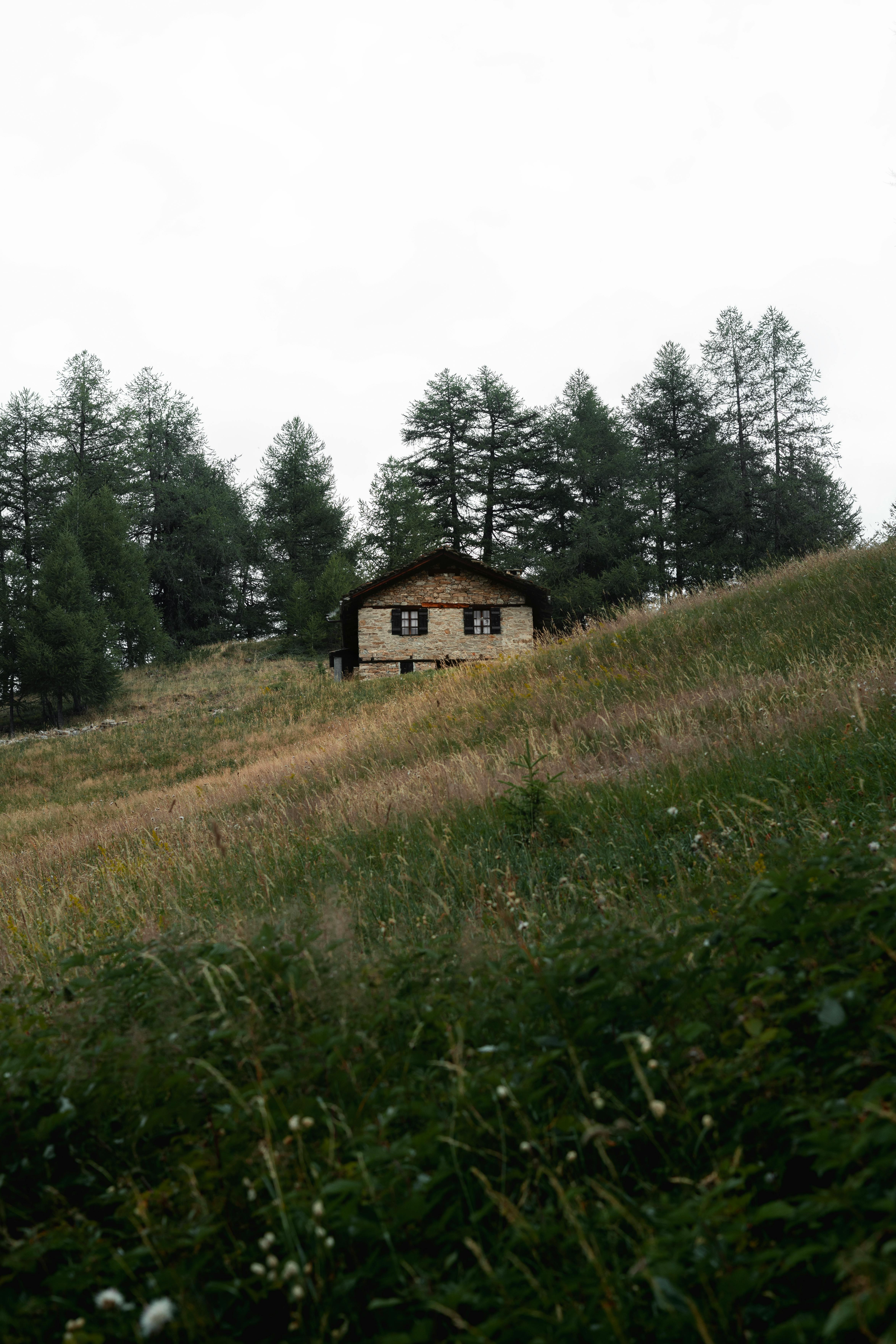 Rustic cabin nestled in a serene, forested mountain setting, ideal for nature escapes.