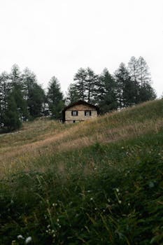 Rustic cabin nestled in a serene, forested mountain setting, ideal for nature escapes.