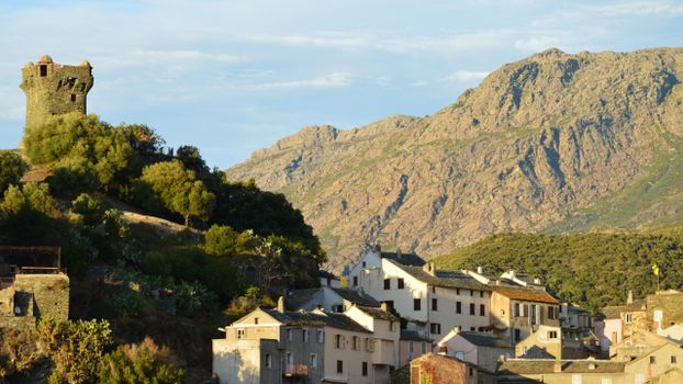 Corse