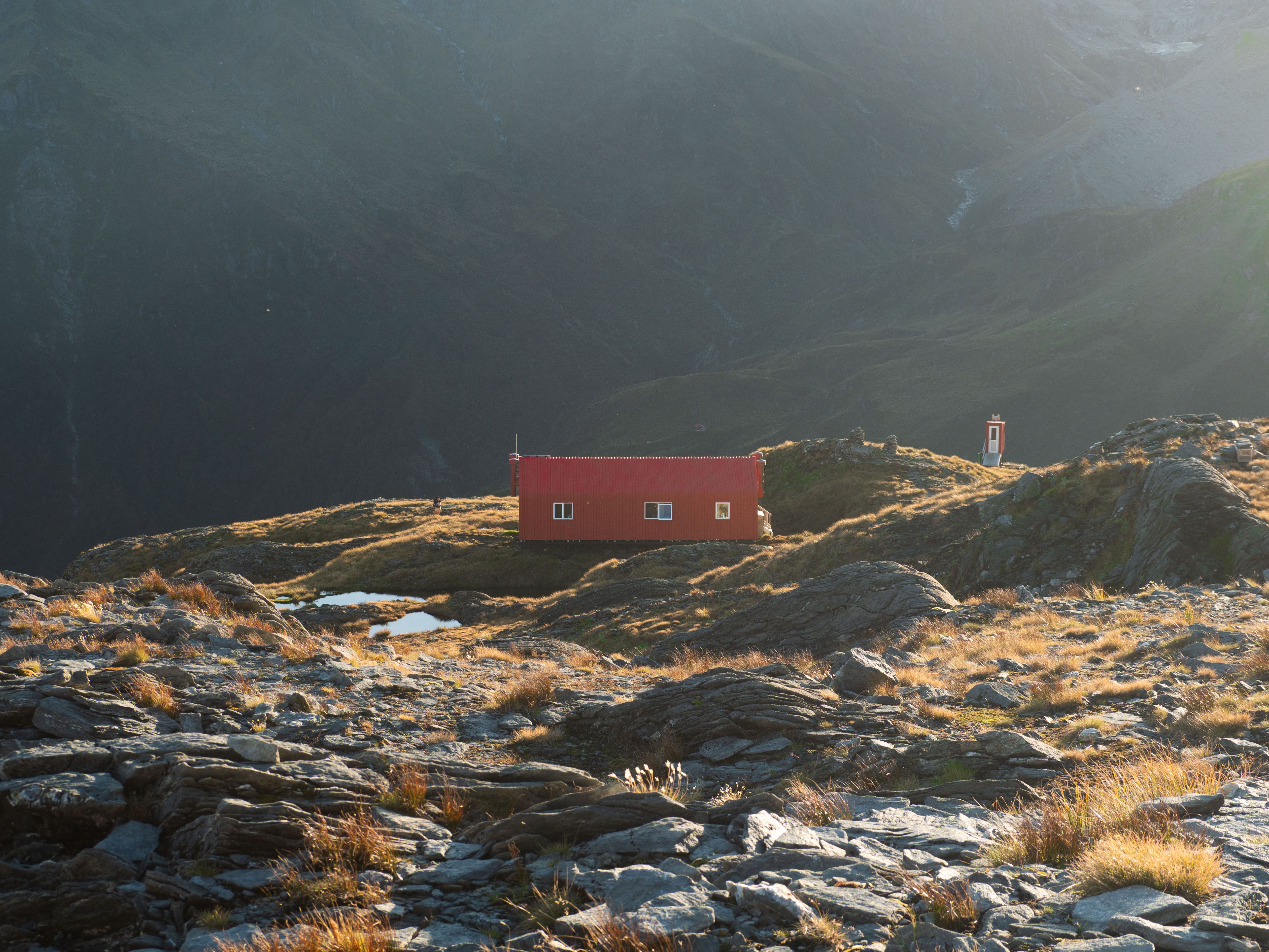 general travel new zealand — Photo by Madison Paiement on Pexels