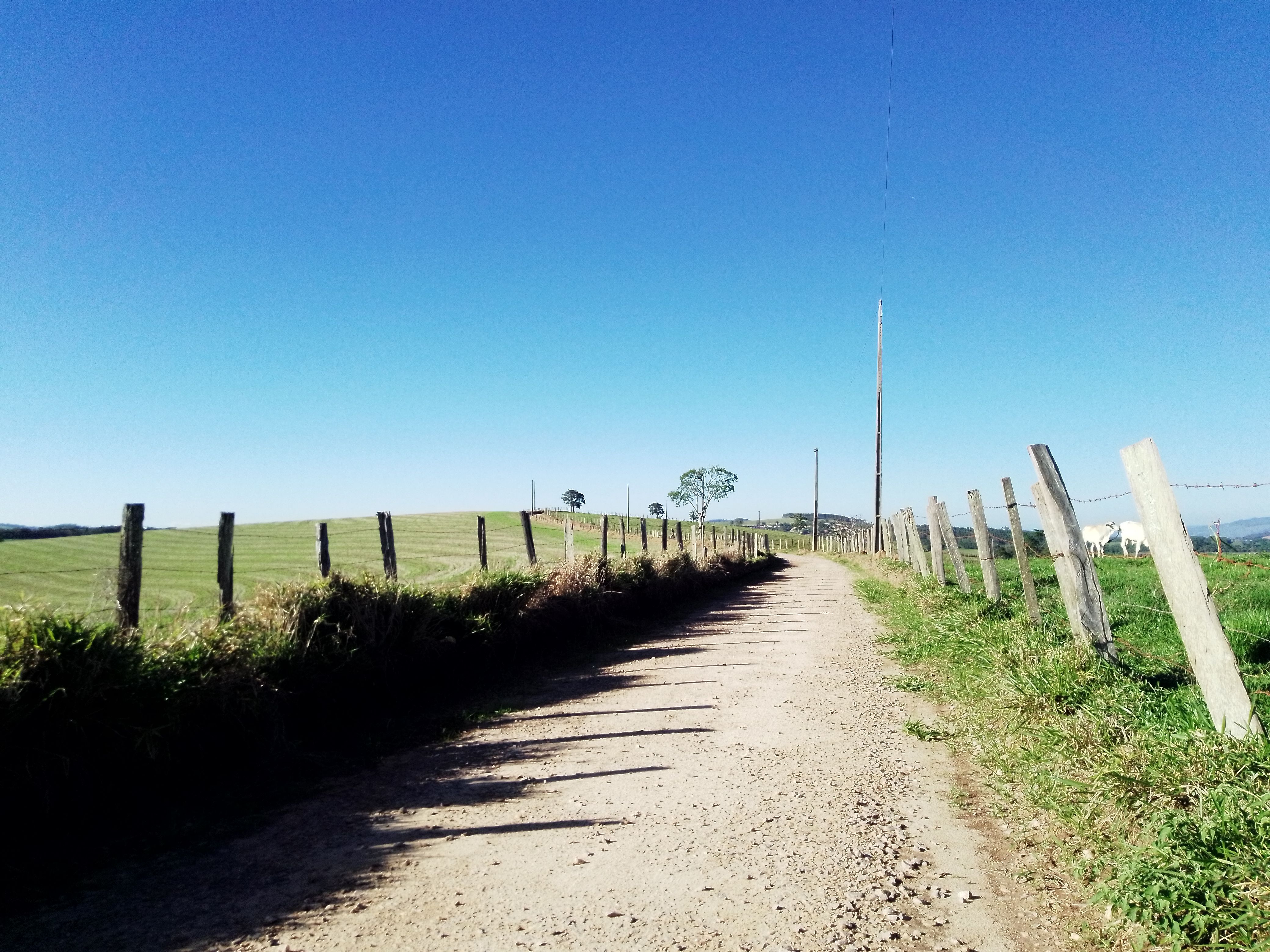 Scenic countryside dirt road lined with a wooden fence under a bright blue sky and sunny day.