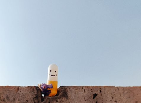A smiling capsule set on a rustic wall with a blue sky backdrop conveying a cheerful vibe.