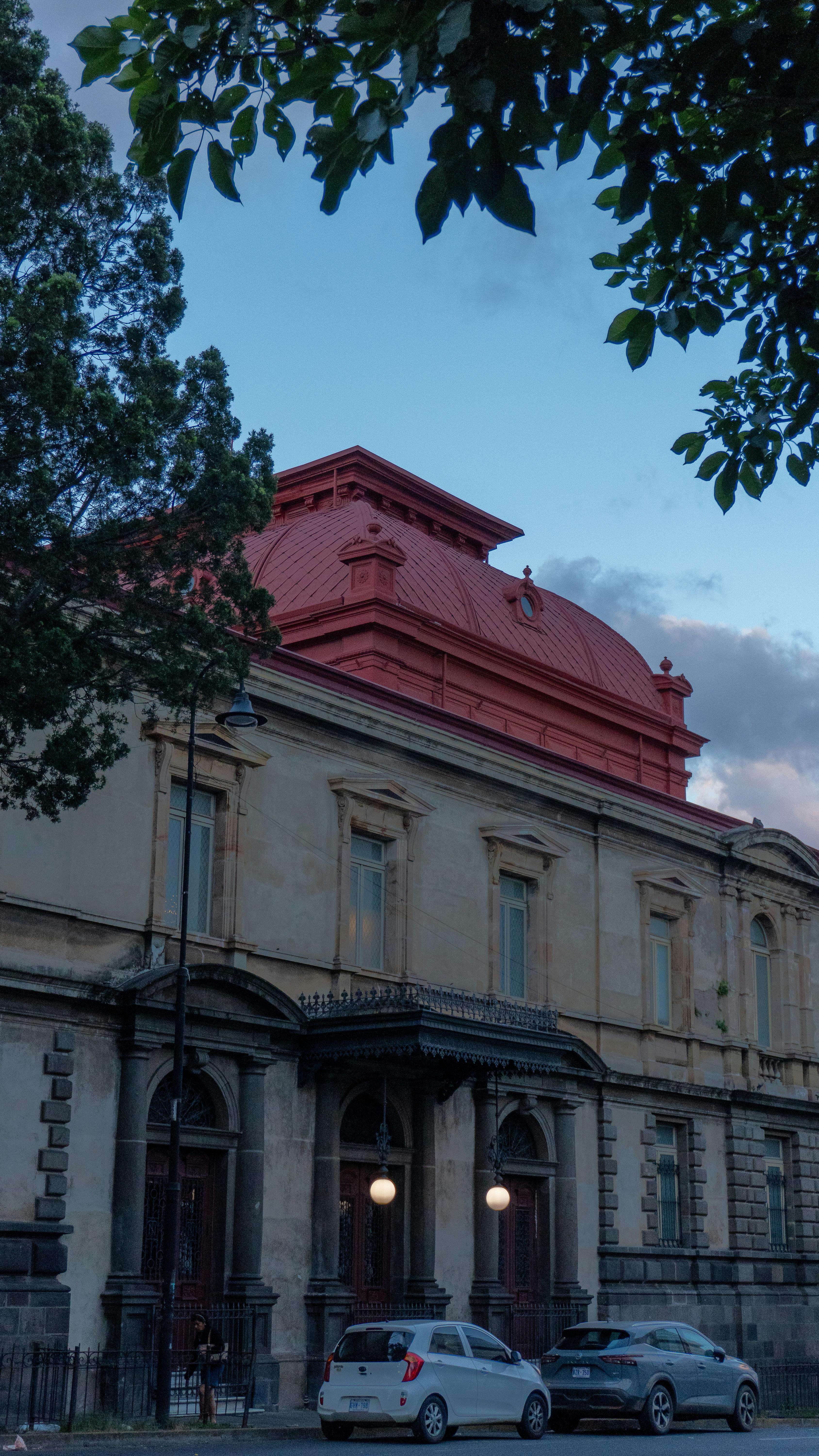 Ücretsiz @dış mekan, Ağaç dalları, ağaçlar içeren Ücretsiz stok fotoğraf Stok Fotoğraflar