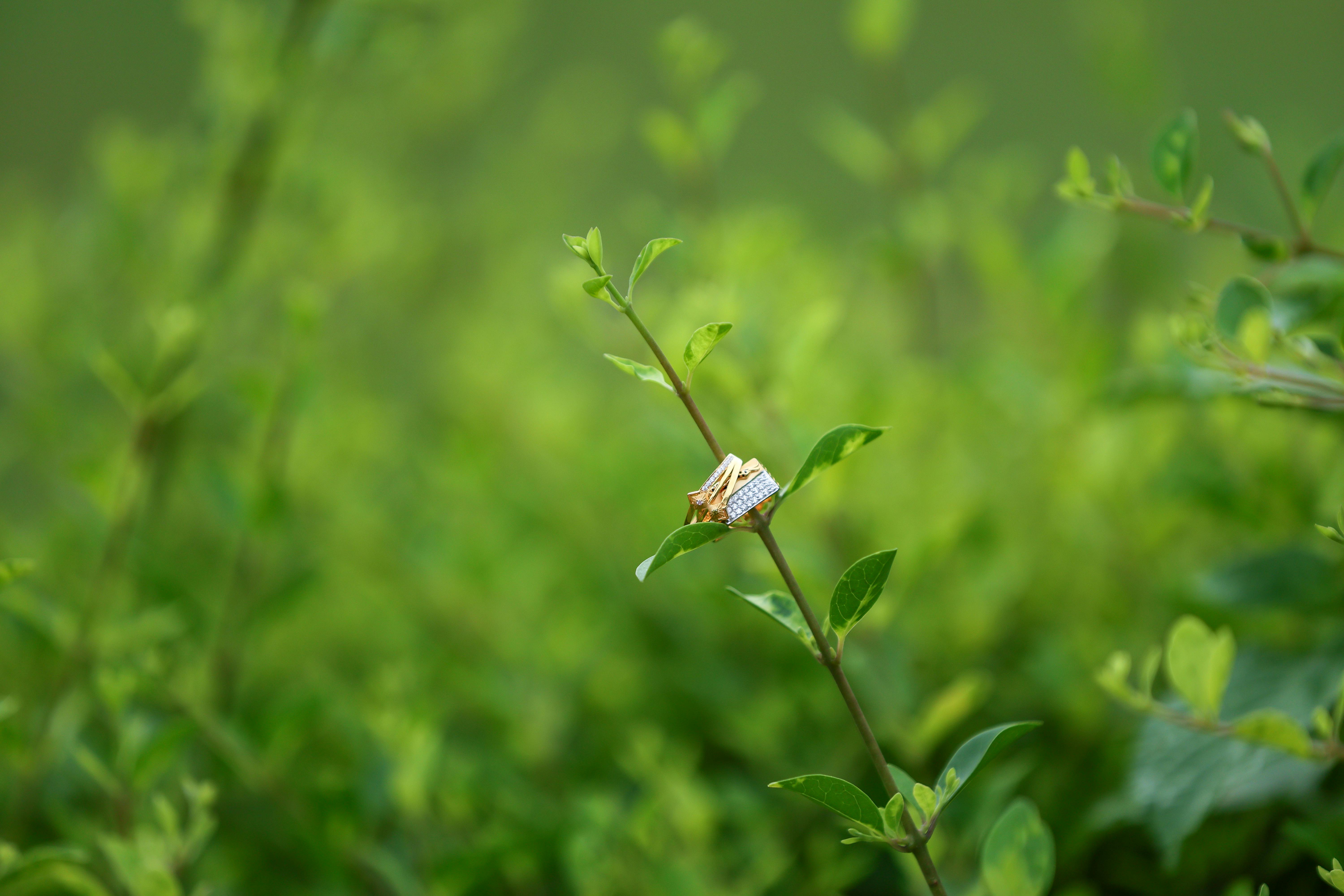 The 5th 'C': The Cost Secrets Your Diamond Jeweler Hopes You Never Learn