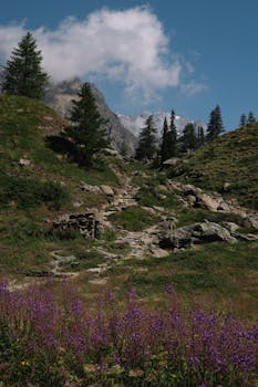 A scenic mountain trail lined with wildflowers under a bright blue sky.
