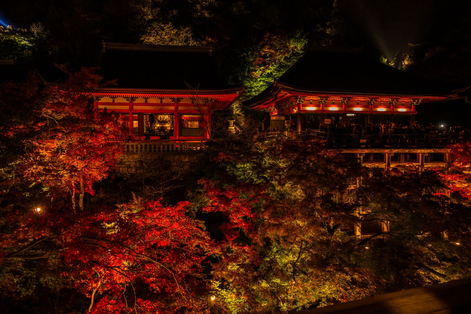 The Golden Pavilion and the Zen gardens