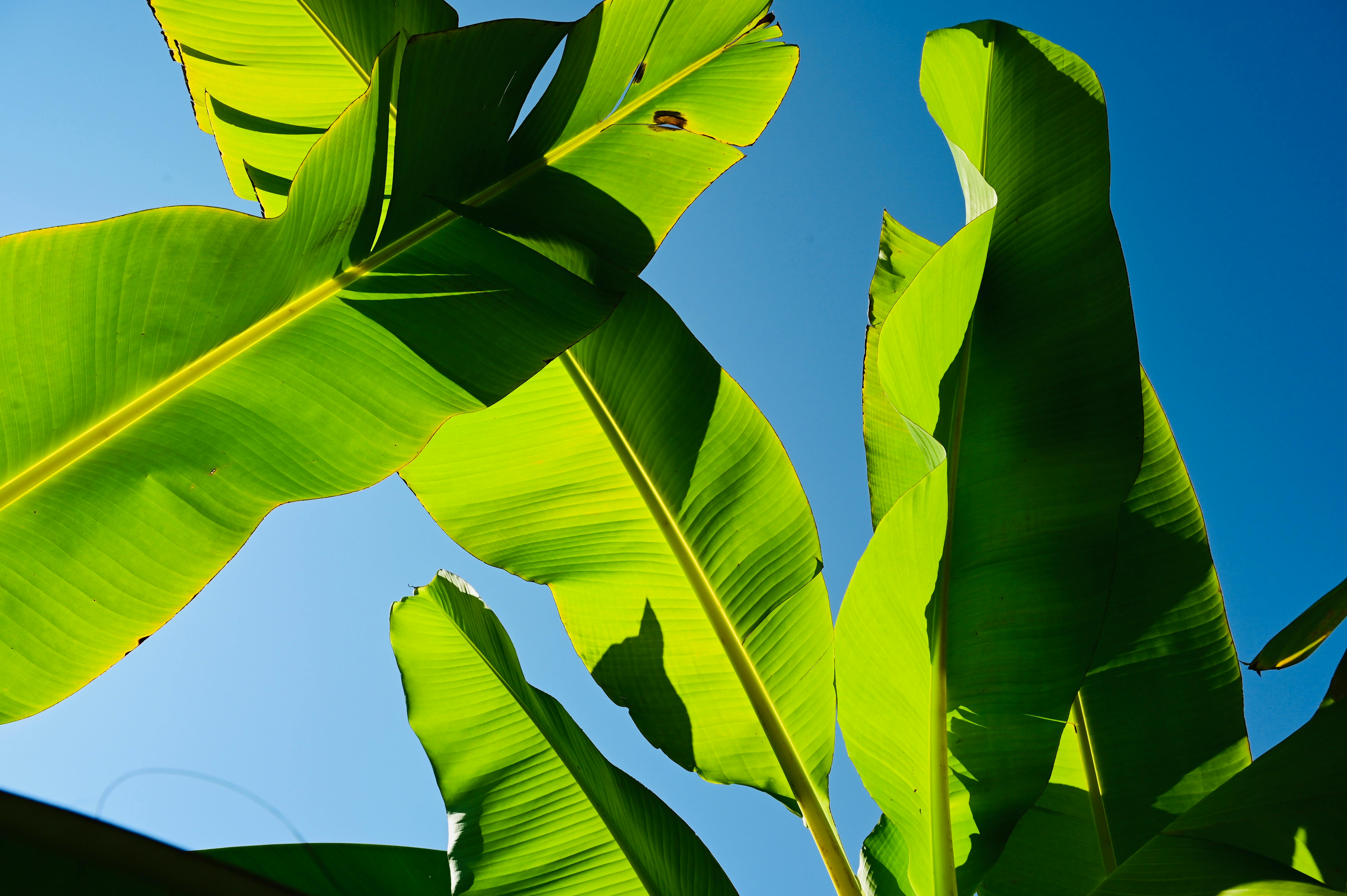 股息成長潛力勝科技股，下一波牛市投資焦點大解析