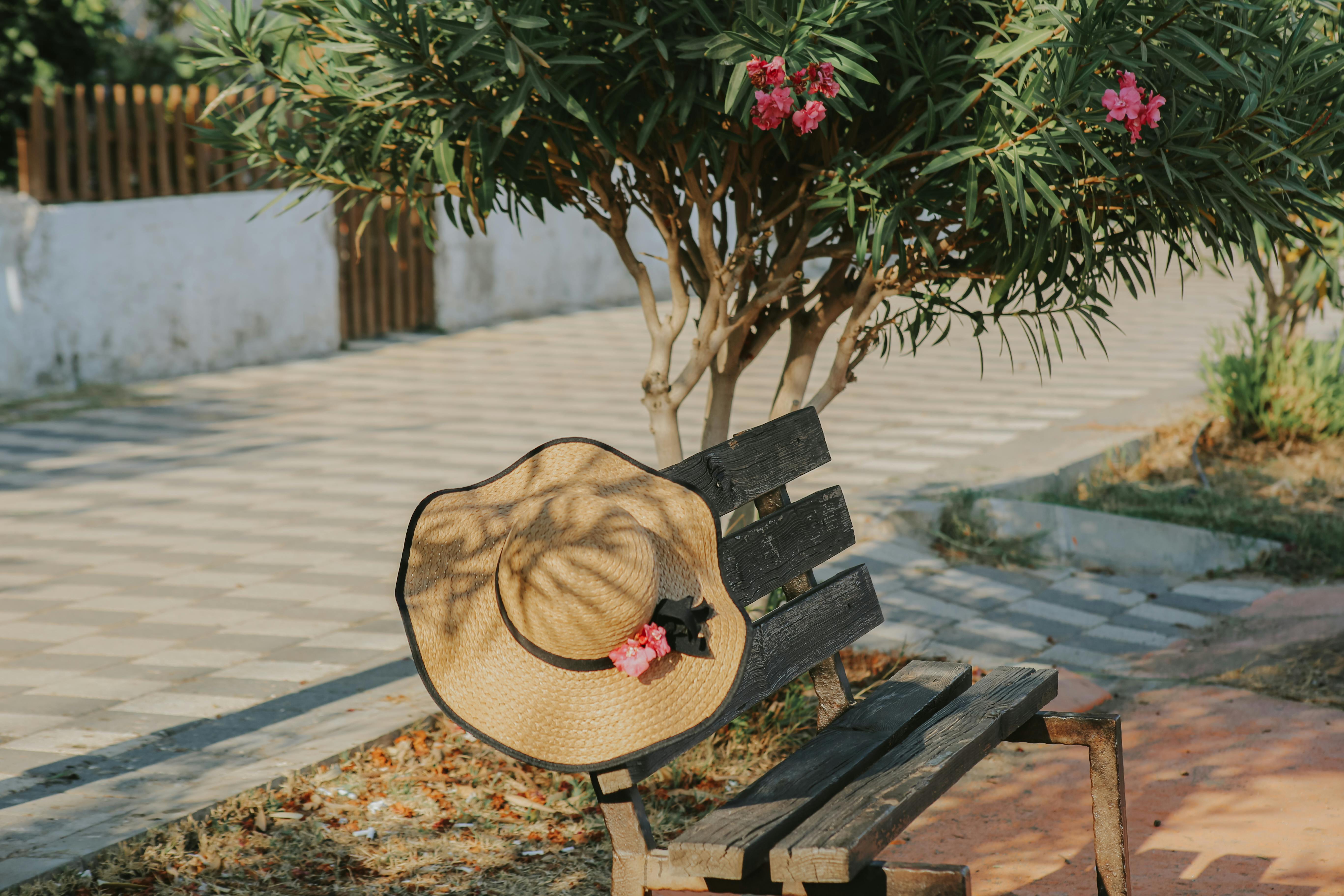 Free A summer scene with a sun hat resting on a wooden bench under an oleander tree in bloom. Stock Photo