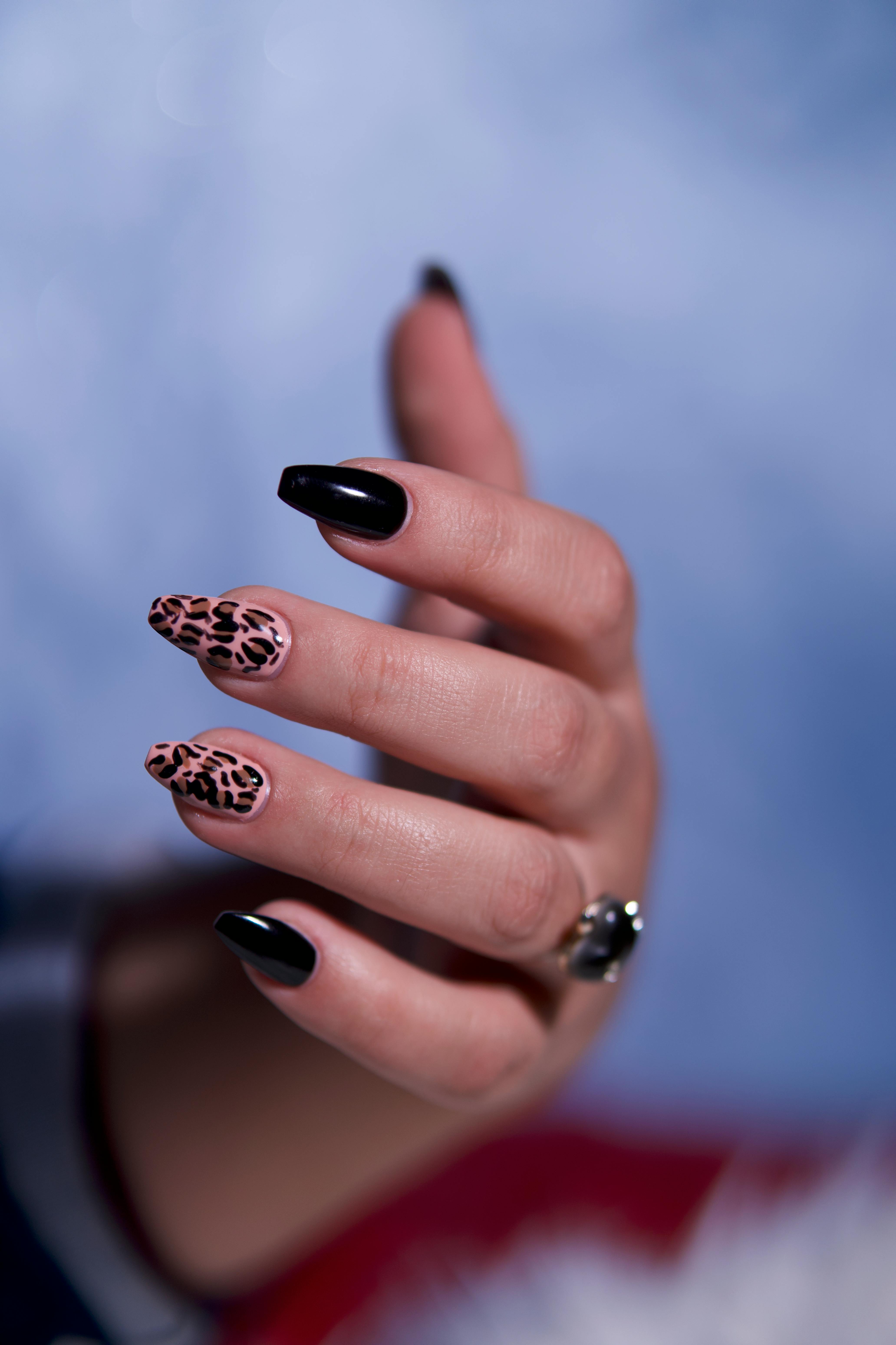 Stylish Leopard Print and Black Nail Art · Free Stock Photo
