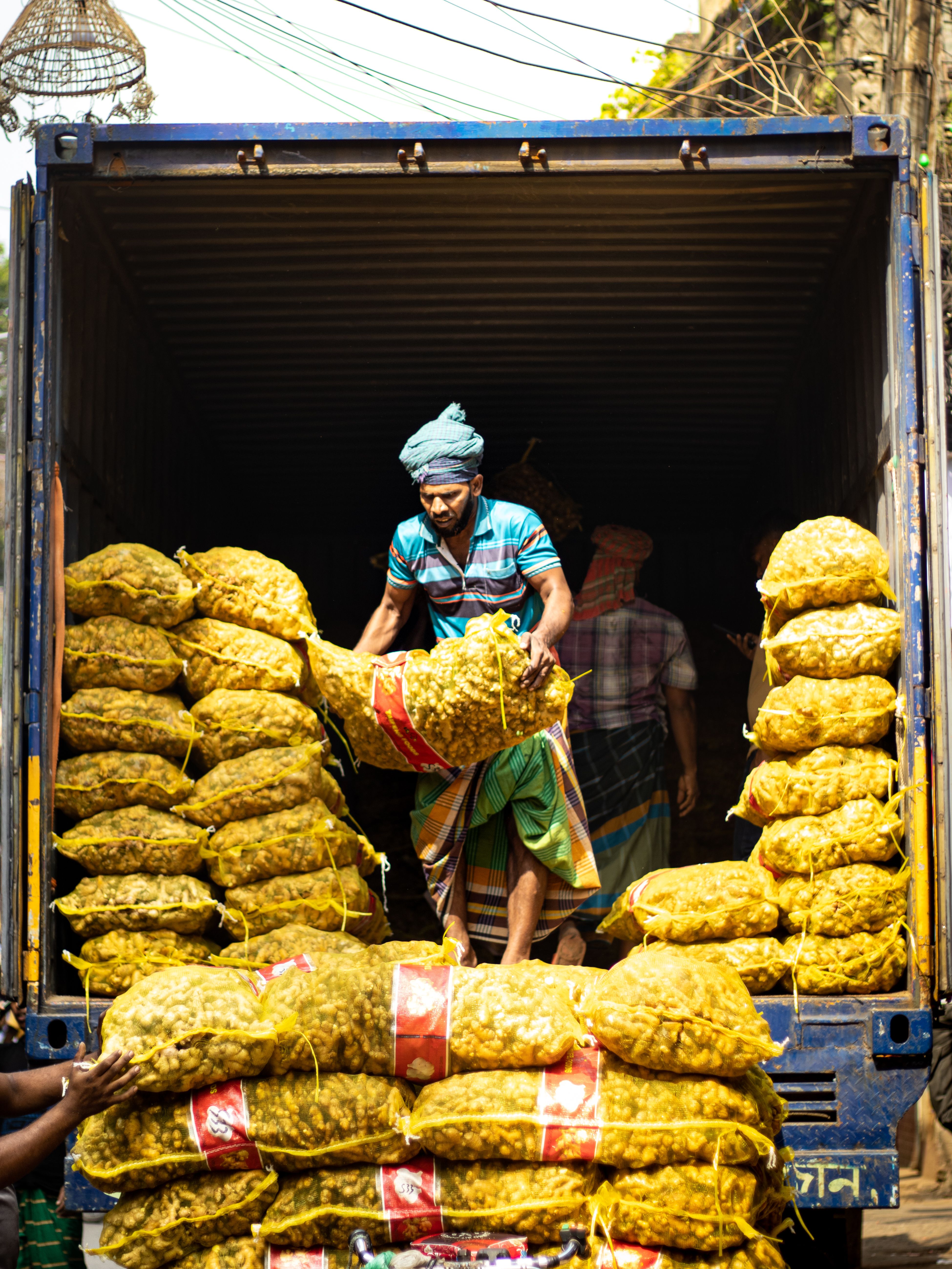 Loading sacks of produce into an export truck