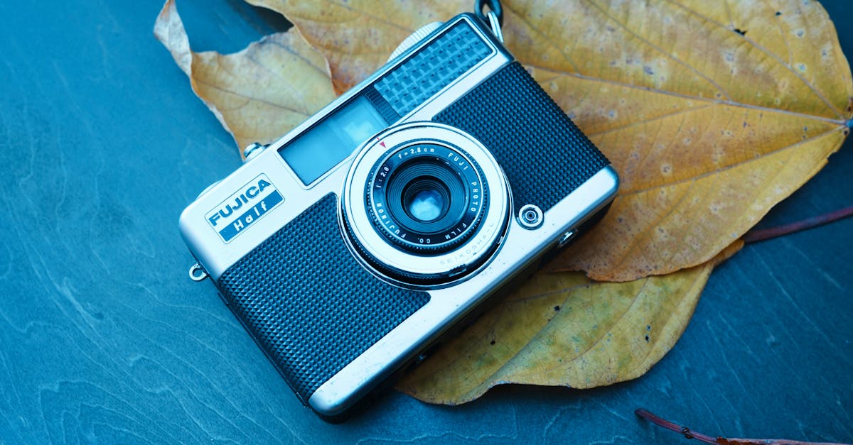 財經:英特爾前CEO看好台灣成為美國外最大Google AI基建重鎮