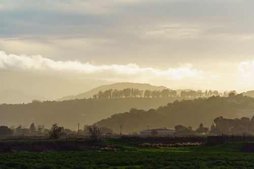 Free A tranquil landscape of lush hills at golden hour with soft light and clouds. Stock Photo