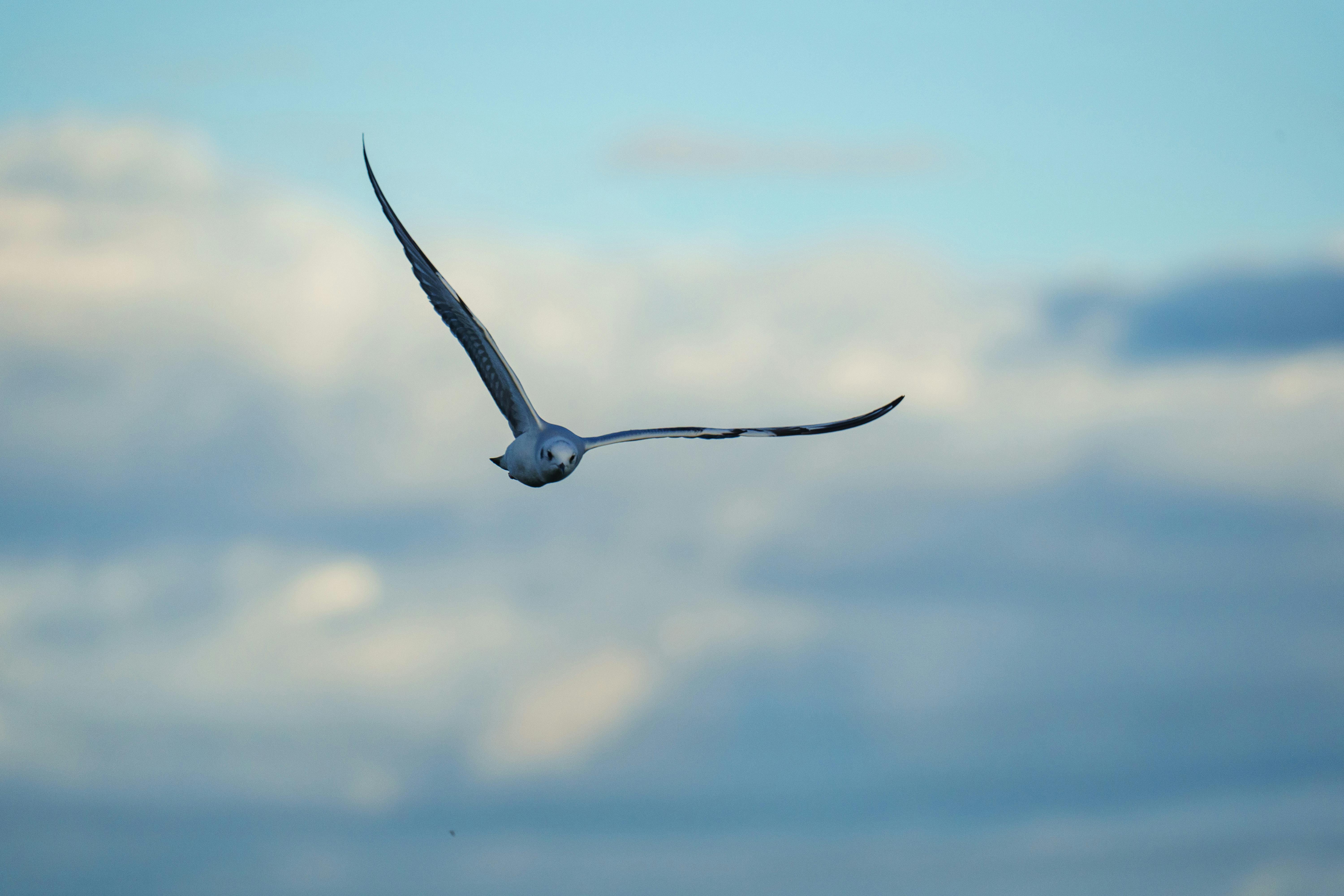 麗富康國際榮獲首屆ESG for Culture影響力雙獎肯定