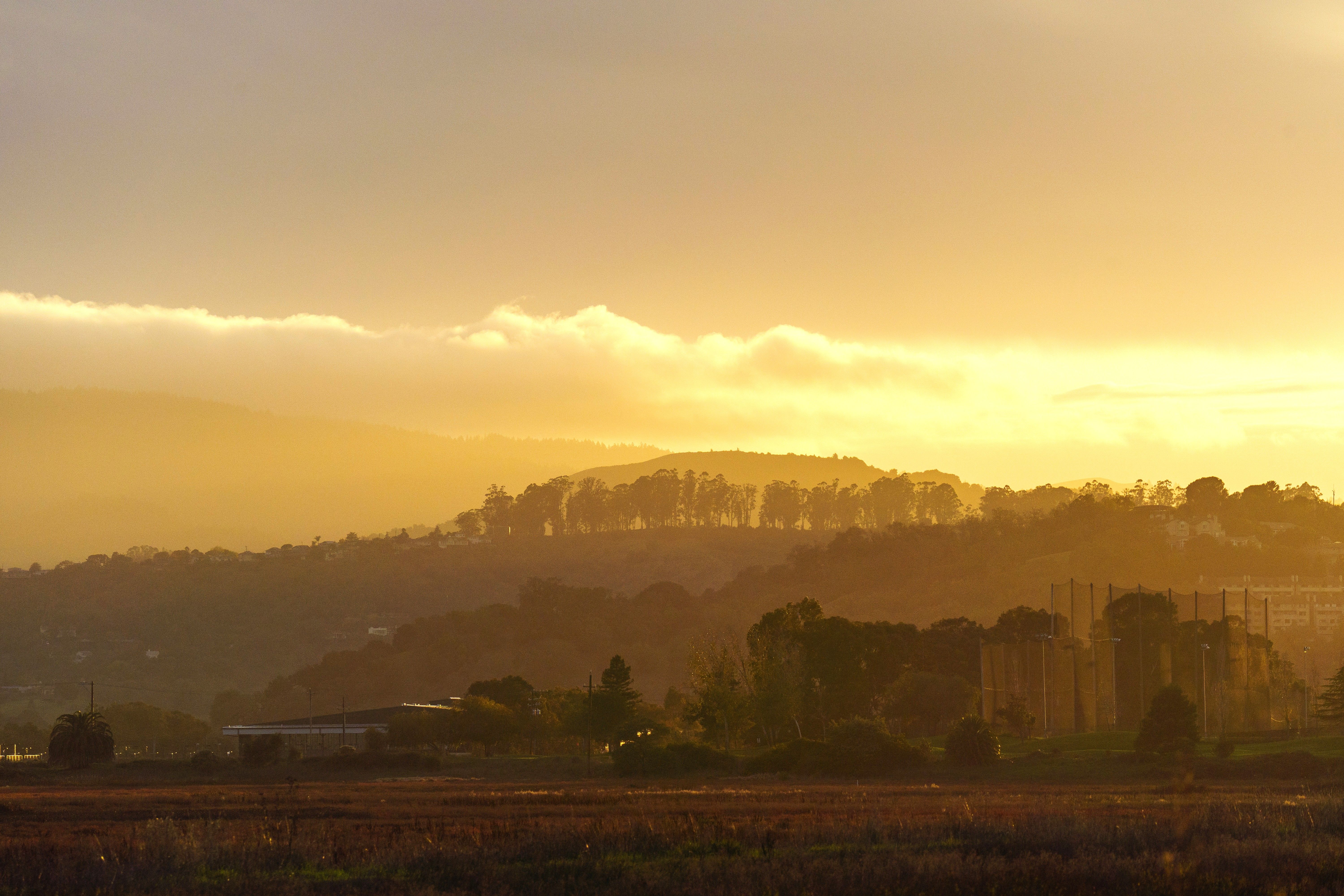 Serene Rural Landscape at Golden Hour · Free Stock Photo