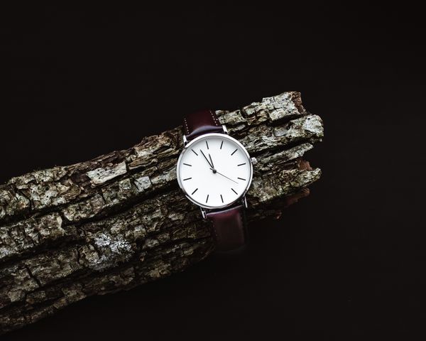 Minimalist watch with a leather strap resting on bark — photo by Timotei Dumbrăveanu on Pexels