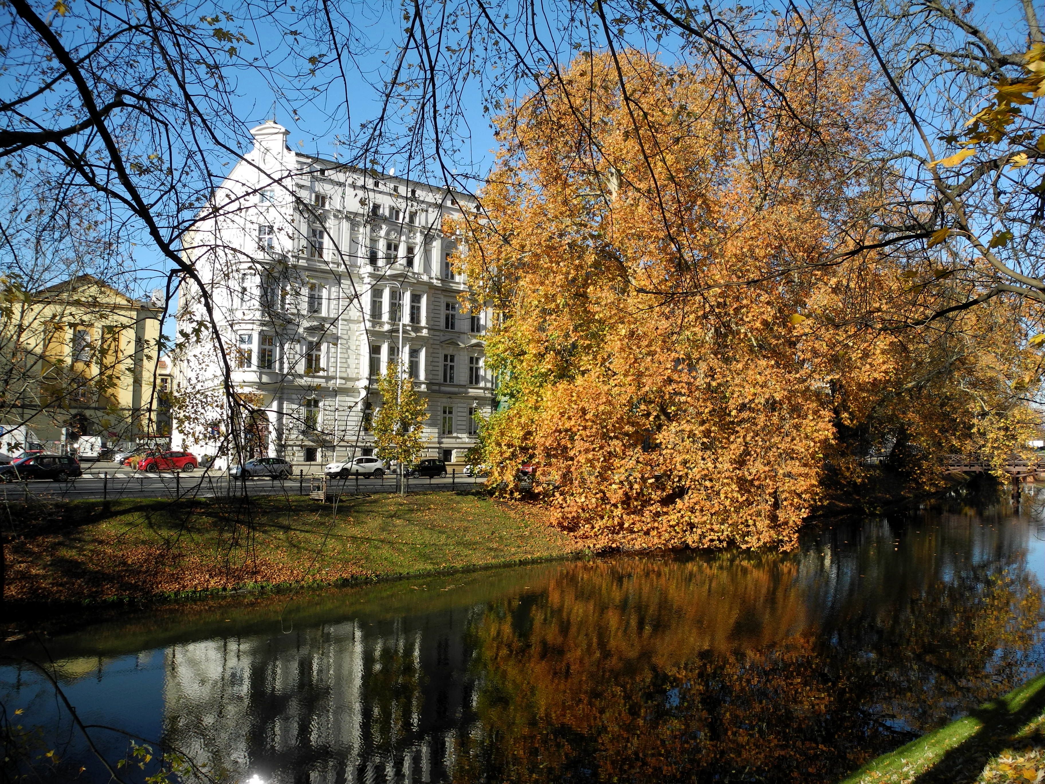 Historic Urban Building by Autumn Riverbank · Free Stock Photo