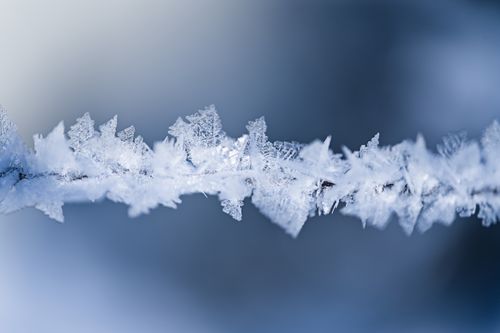 Free Detailed macro shot of delicate frost on a branch, capturing winter's beauty. Stock Photo