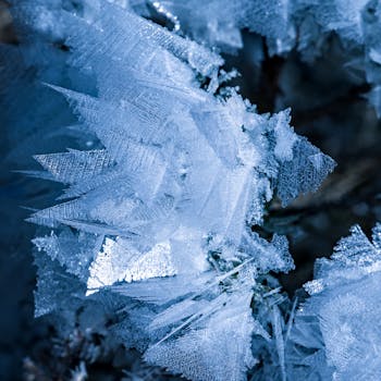 Detailed macro shot of intricate frost crystals on plant leaves, showcasing nature's delicate winter artistry.