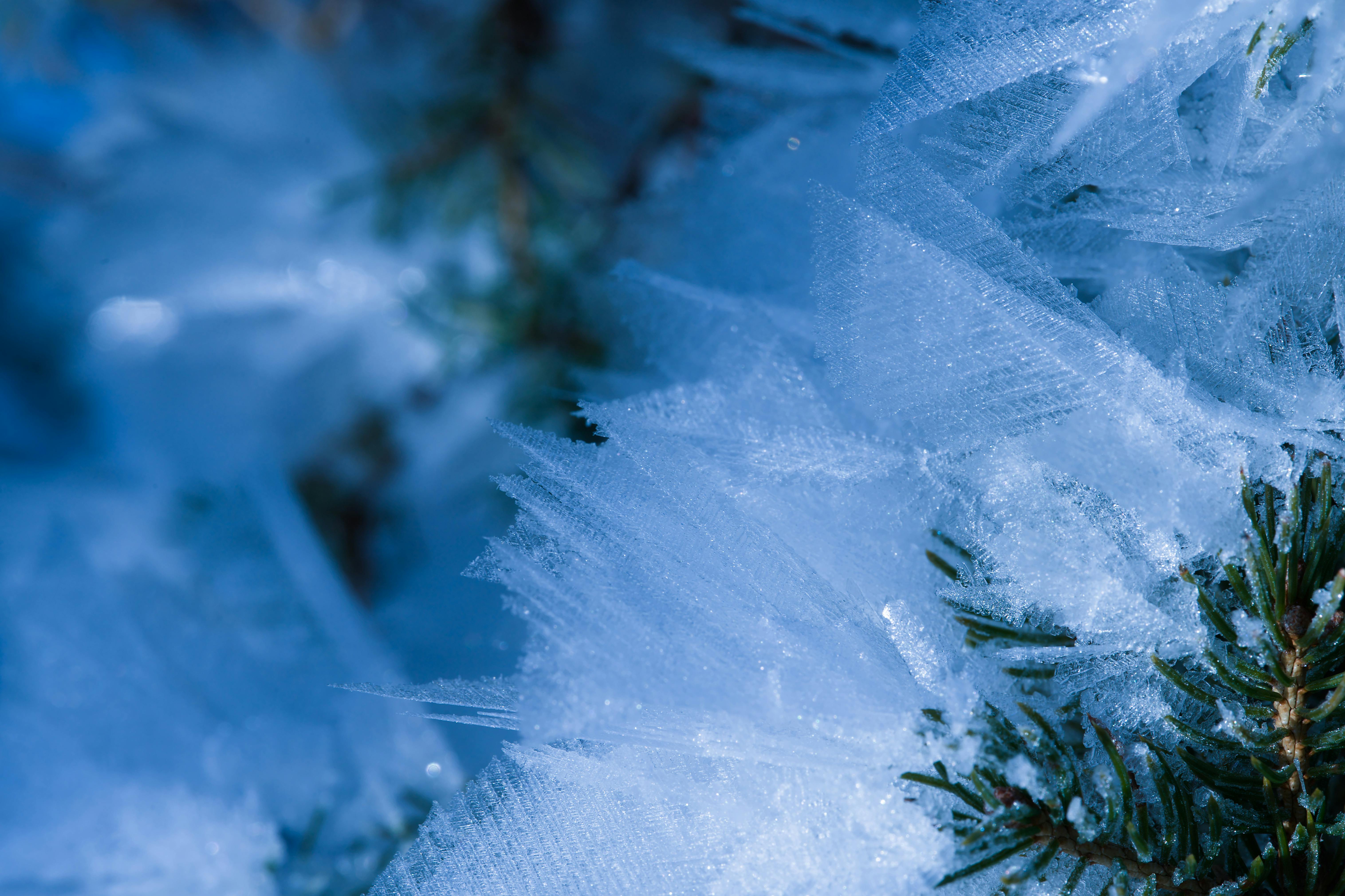 股息成長潛力勝科技股，下一波牛市投資焦點大解析