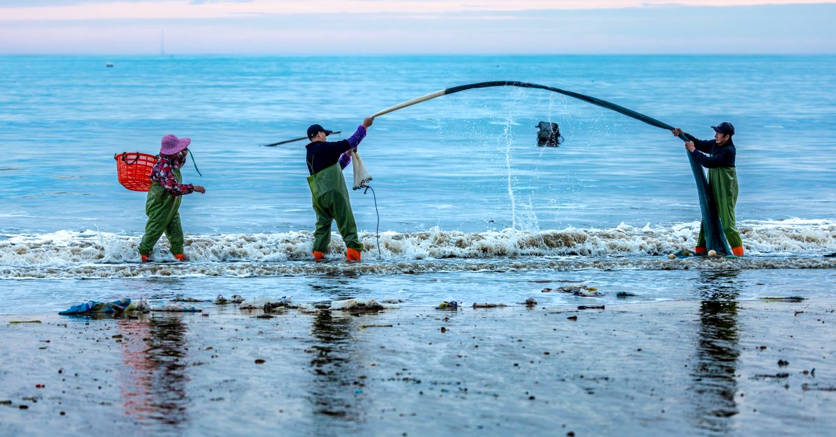 Use Catch Net Fishermen Working with Catch Nets on Ocean Shore · Free Stock Photo