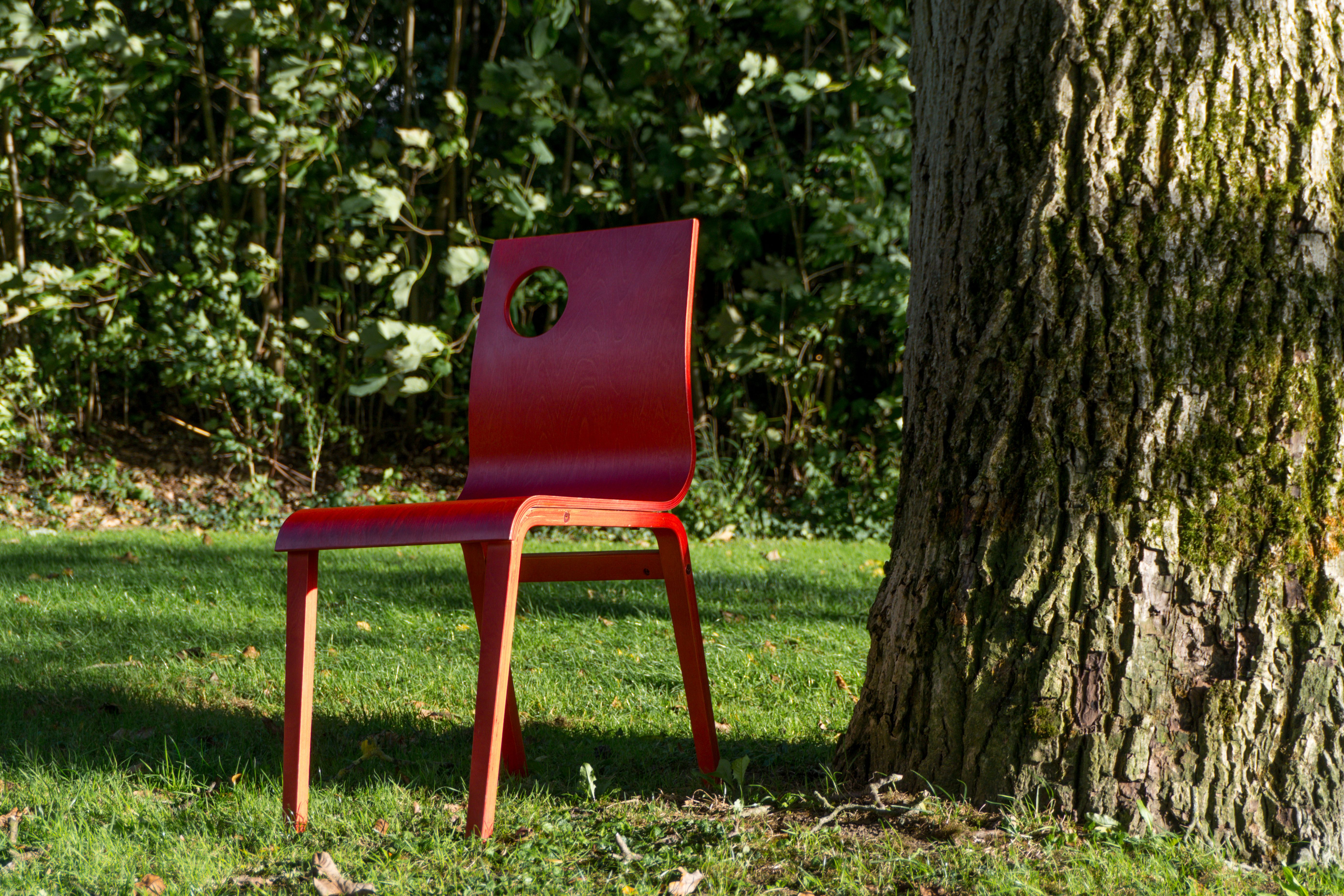 Red Chair Beside Tree in Sunlit Park · Free Stock Photo