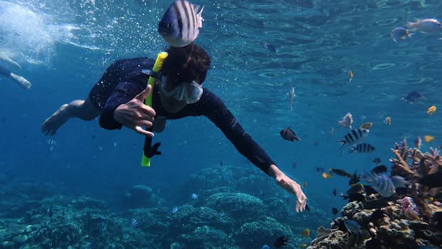 Explore marine life while snorkeling in the vibrant waters of Jawa Tengah, Indonesia.