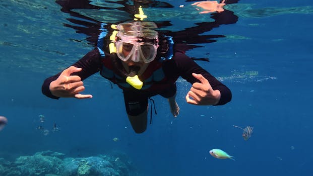 Explore vibrant underwater life while snorkeling in Jawa Tengah, Indonesia.