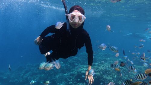 Free A snorkeler in Jawa Tengah, Indonesia explores vibrant marine life. Perfect for travel imagery. Stock Photo