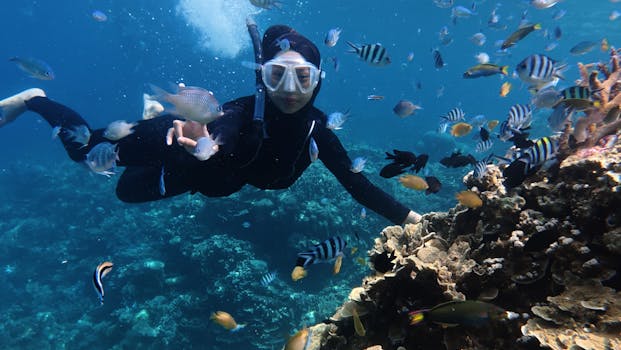 Image by the karimunjawa