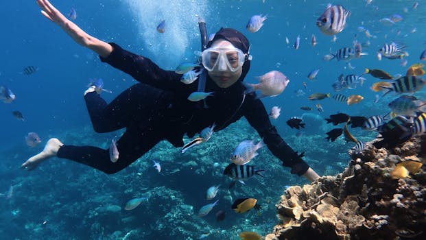 Diver exploring vibrant marine life in Jawa Tengah's coral reefs.