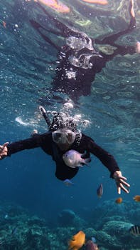 Image by the karimunjawa