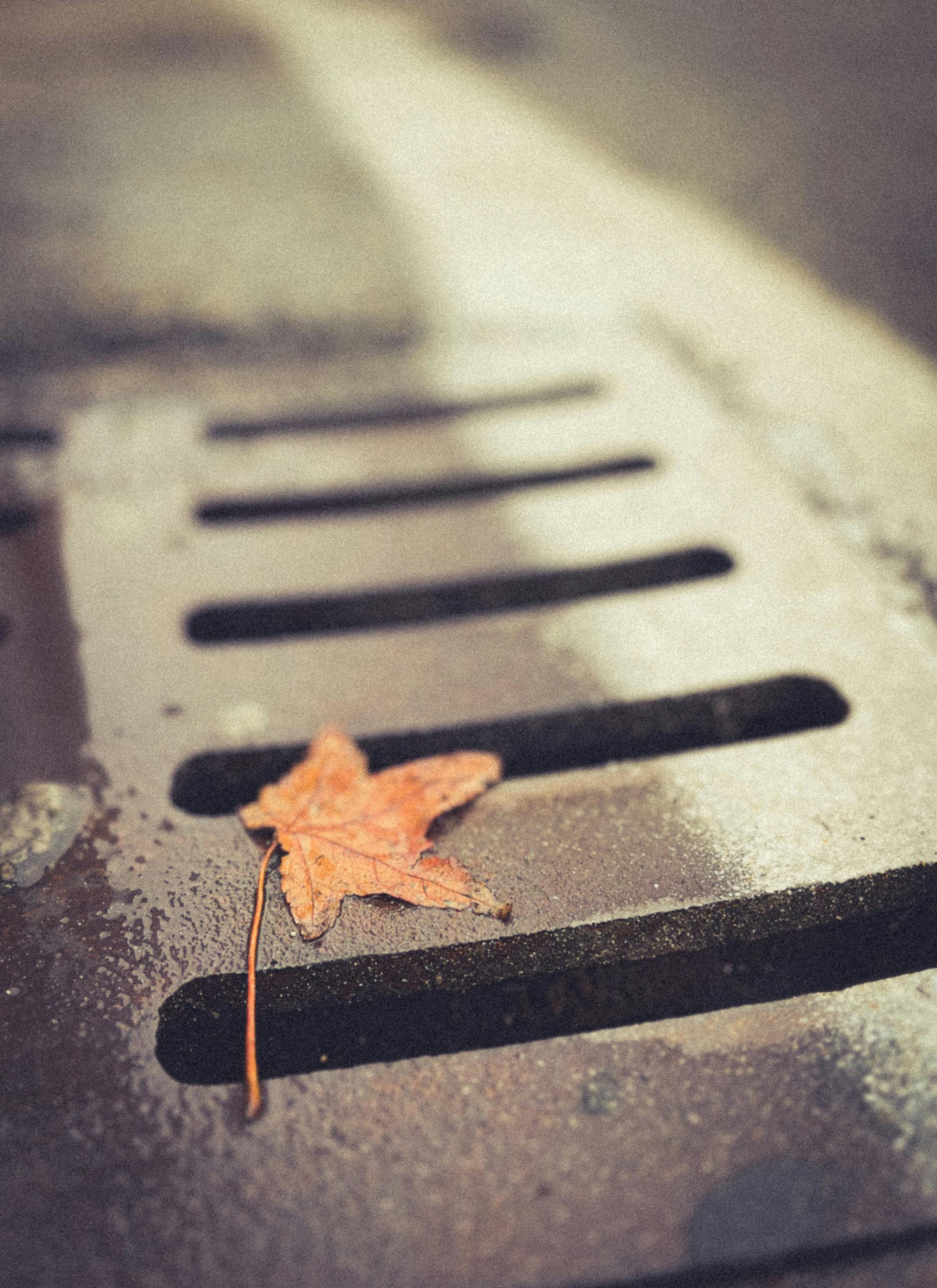 Autumn Leaves & Clogged Drains: A Cleveland Pre-Winter Checklist