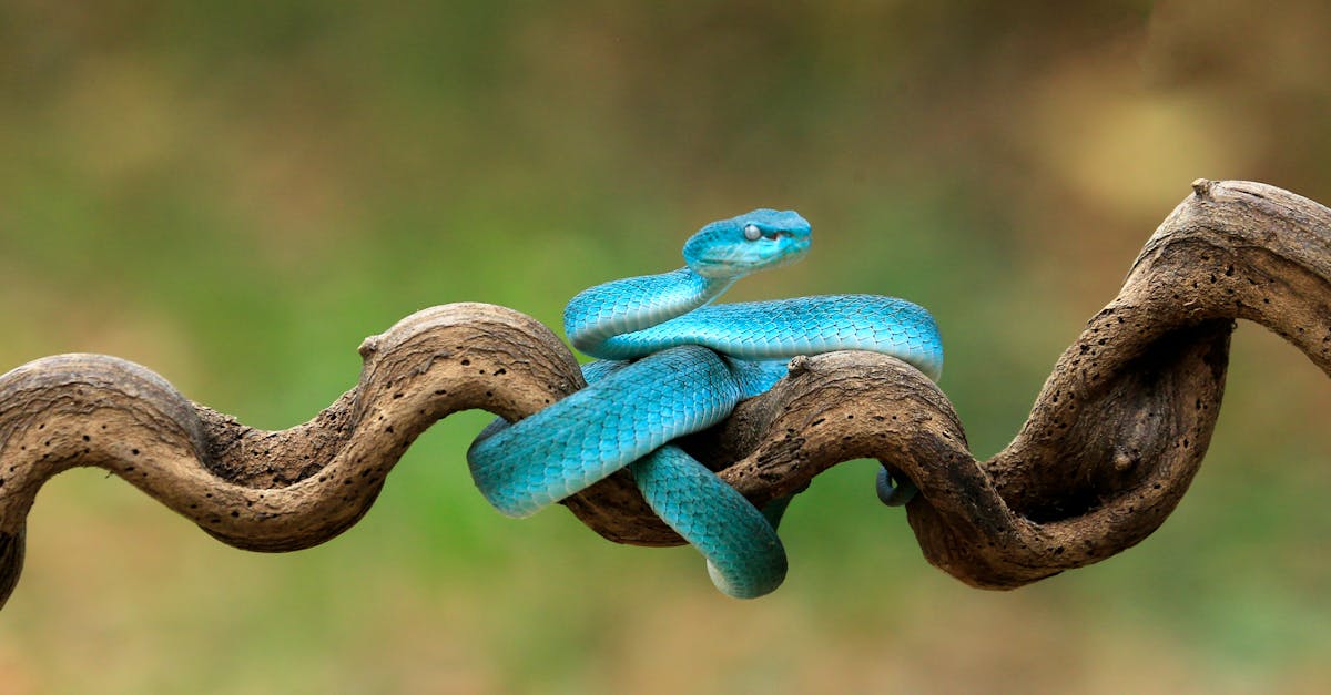 公益心與環保情結合 國際扶輪3501新竹區熱血捐1360袋