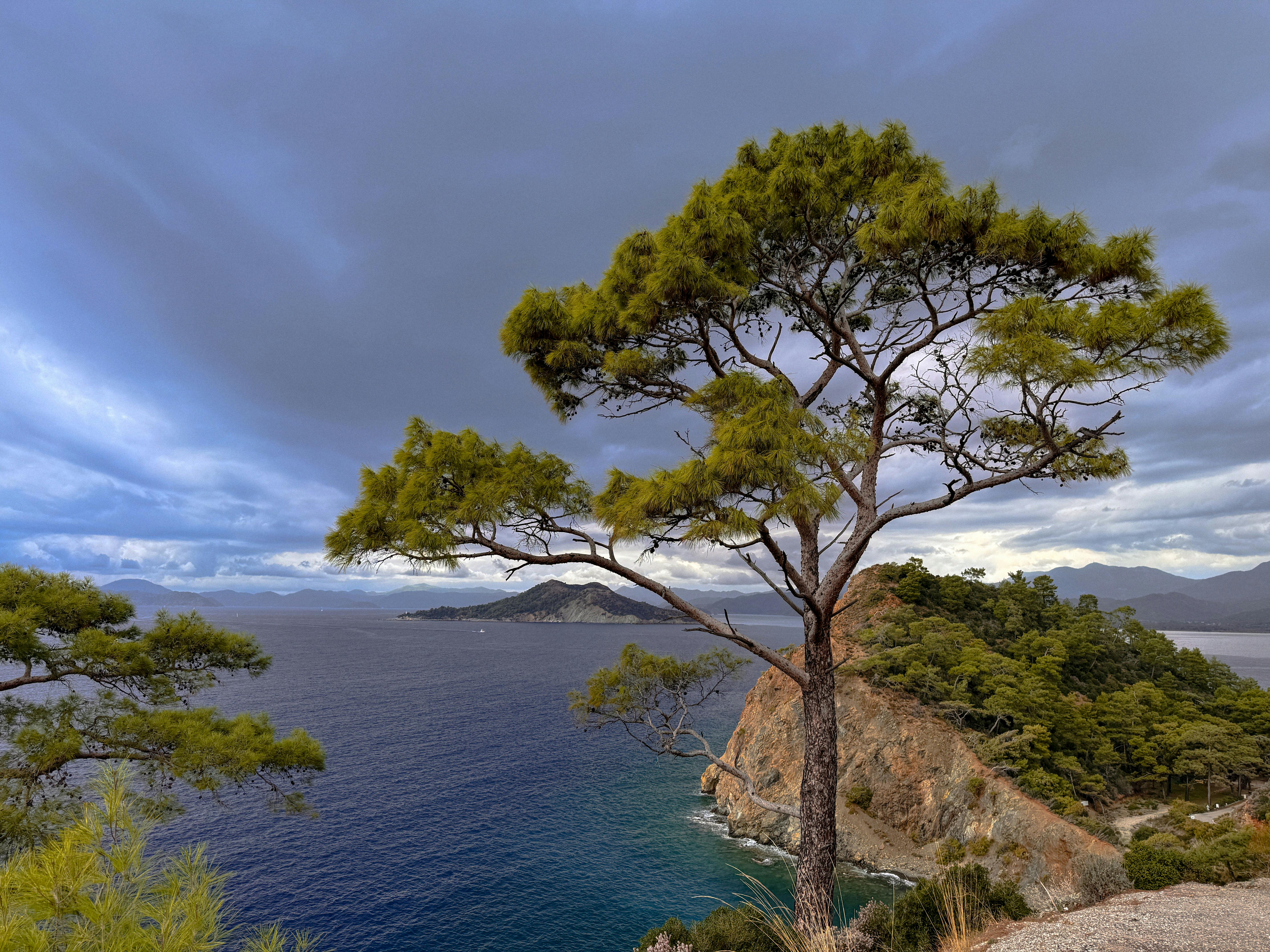 A breathtaking view of Fethiye's rocky coastline with lush cliffs and a turquoise sea.