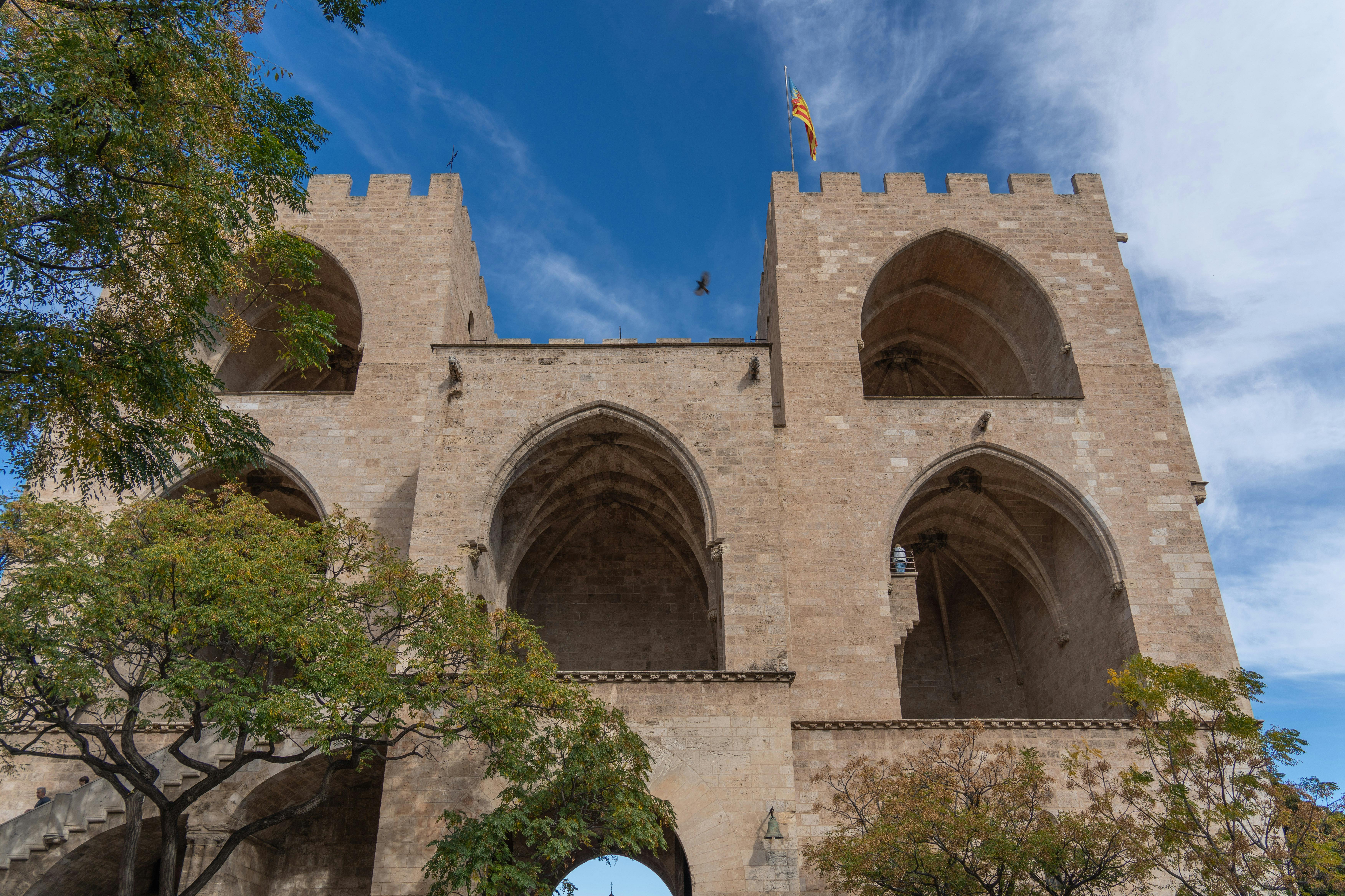 Cryptocurrency Market Predictions Based on Cosmic Events