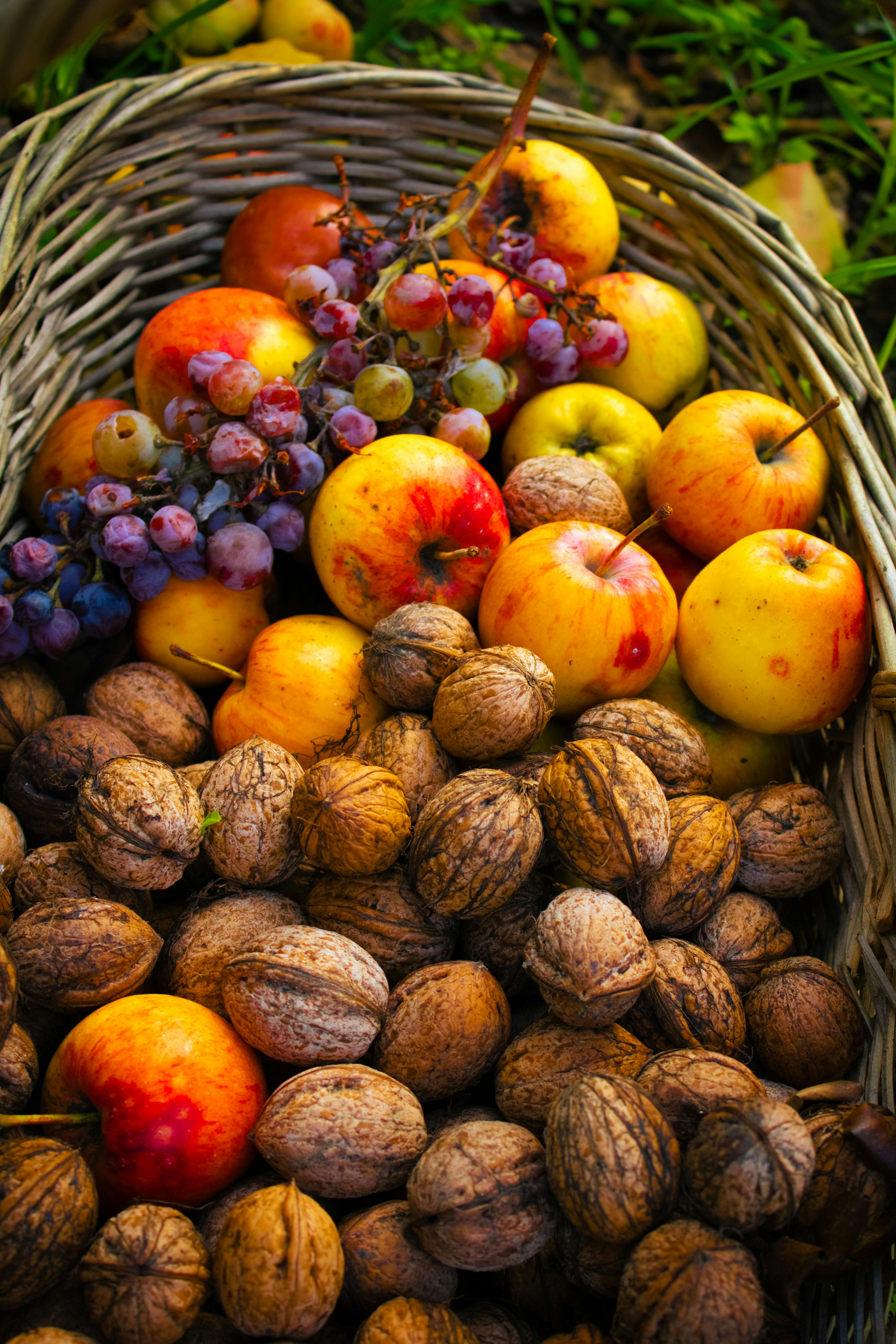 Gratuit Photos gratuites de agriculture, aliment naturel, alimentation saine Photos