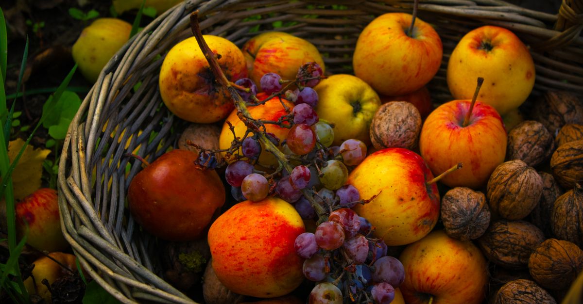 Les 10 meilleurs fruits de saison à déguster en automne