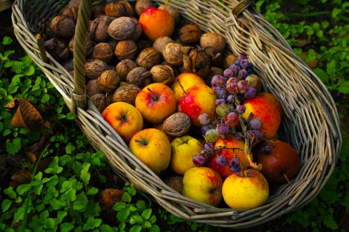 Gratuit Photos gratuites de alimentation saine, artisanal, automne Photos