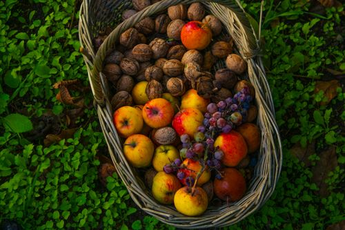 Gratuit Photos gratuites de @extérieur, à côté de, abondant Photos
