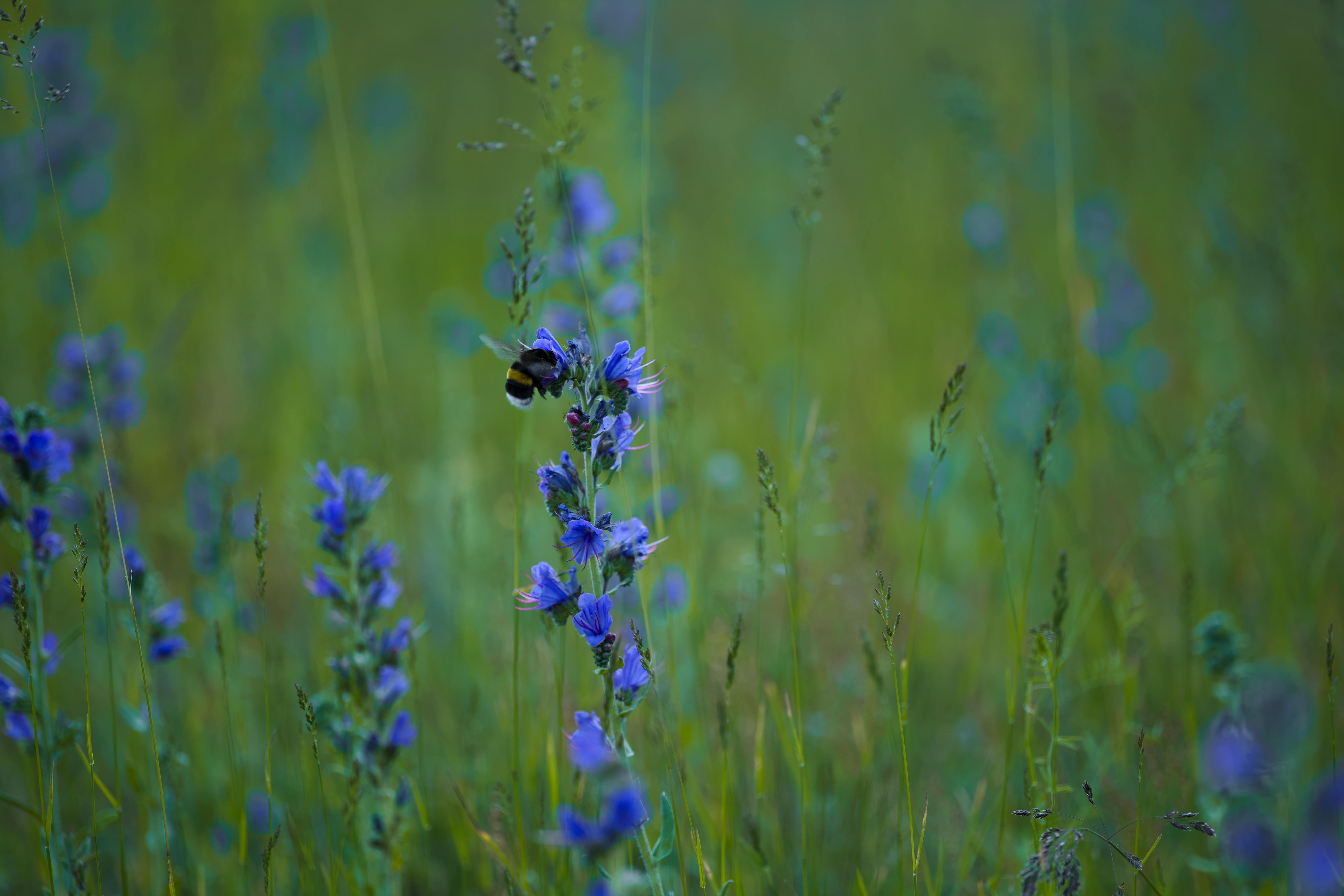 麗富康國際榮獲首屆ESG for Culture影響力雙獎肯定