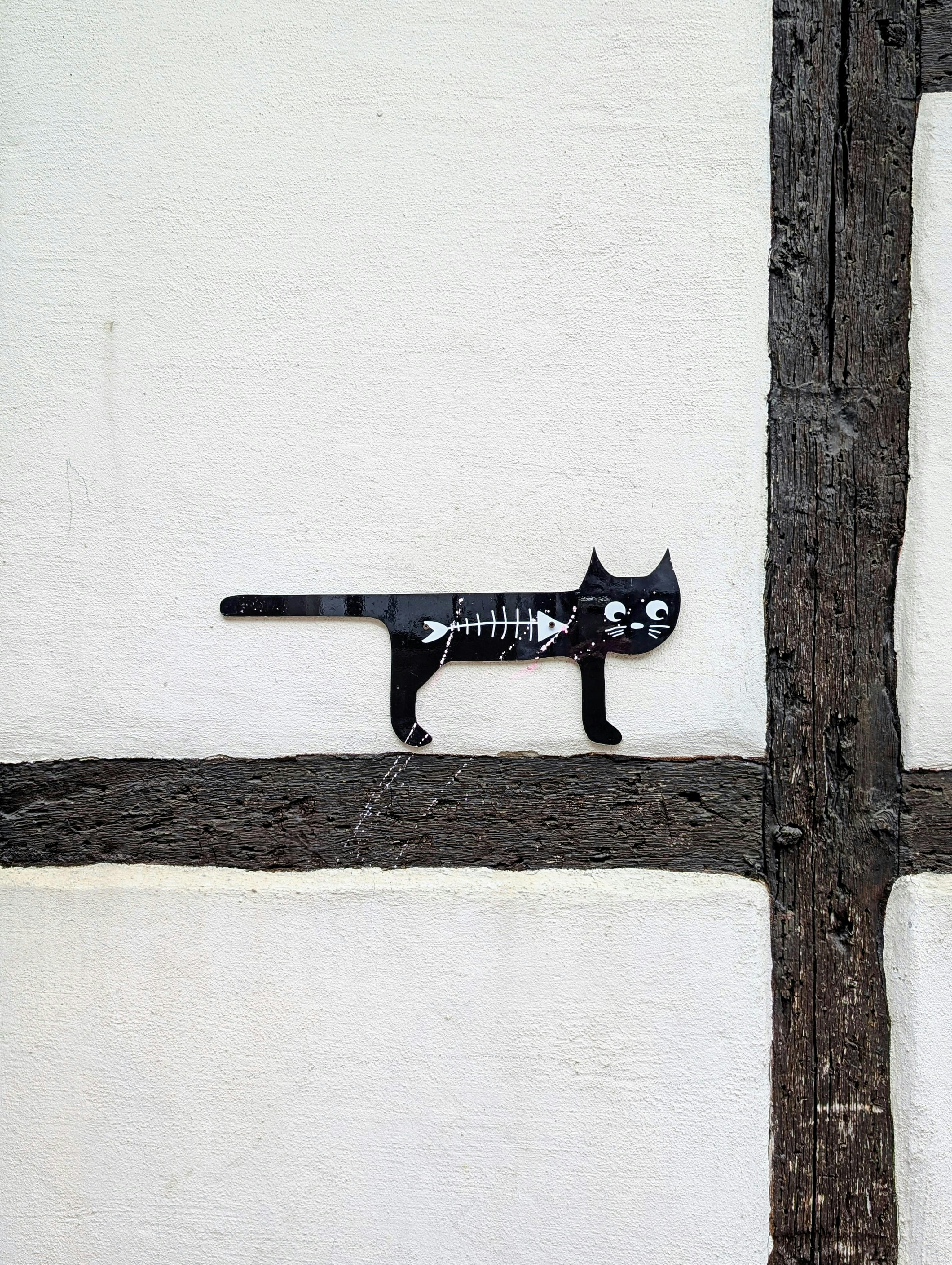 Gratis Miao  Foto a disposizione