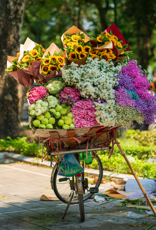 Free Colorful bouquet-laden bicycle cart on a sunny street, showcasing diverse flowers and fresh produce. Stock Photo