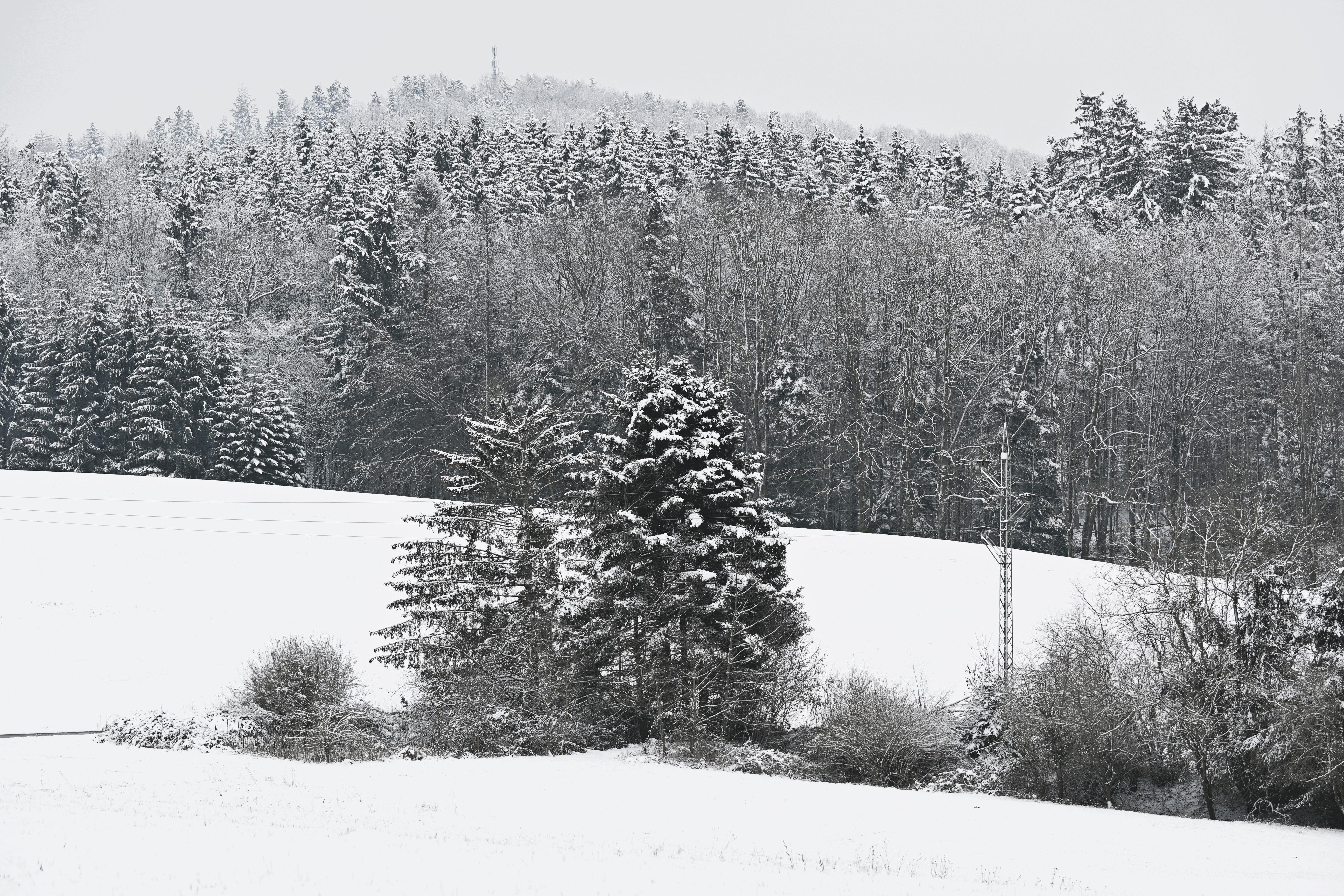 Snowy Winter Landscape in Auenwald, Germany · Free Stock Photo