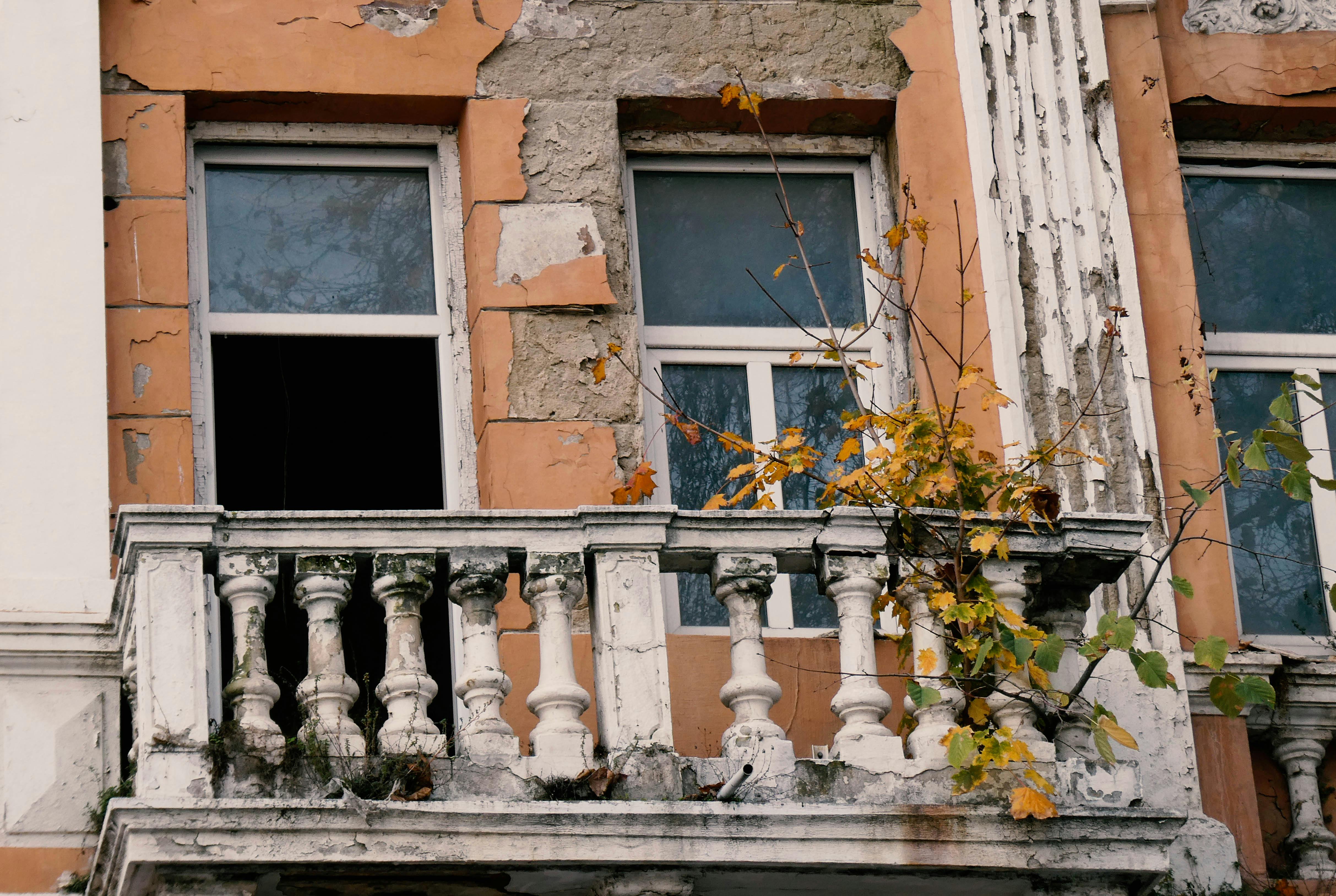 Ingyenes stockfotó @szabadtéri, ablakok, borostyán levelek témában Stockfotó