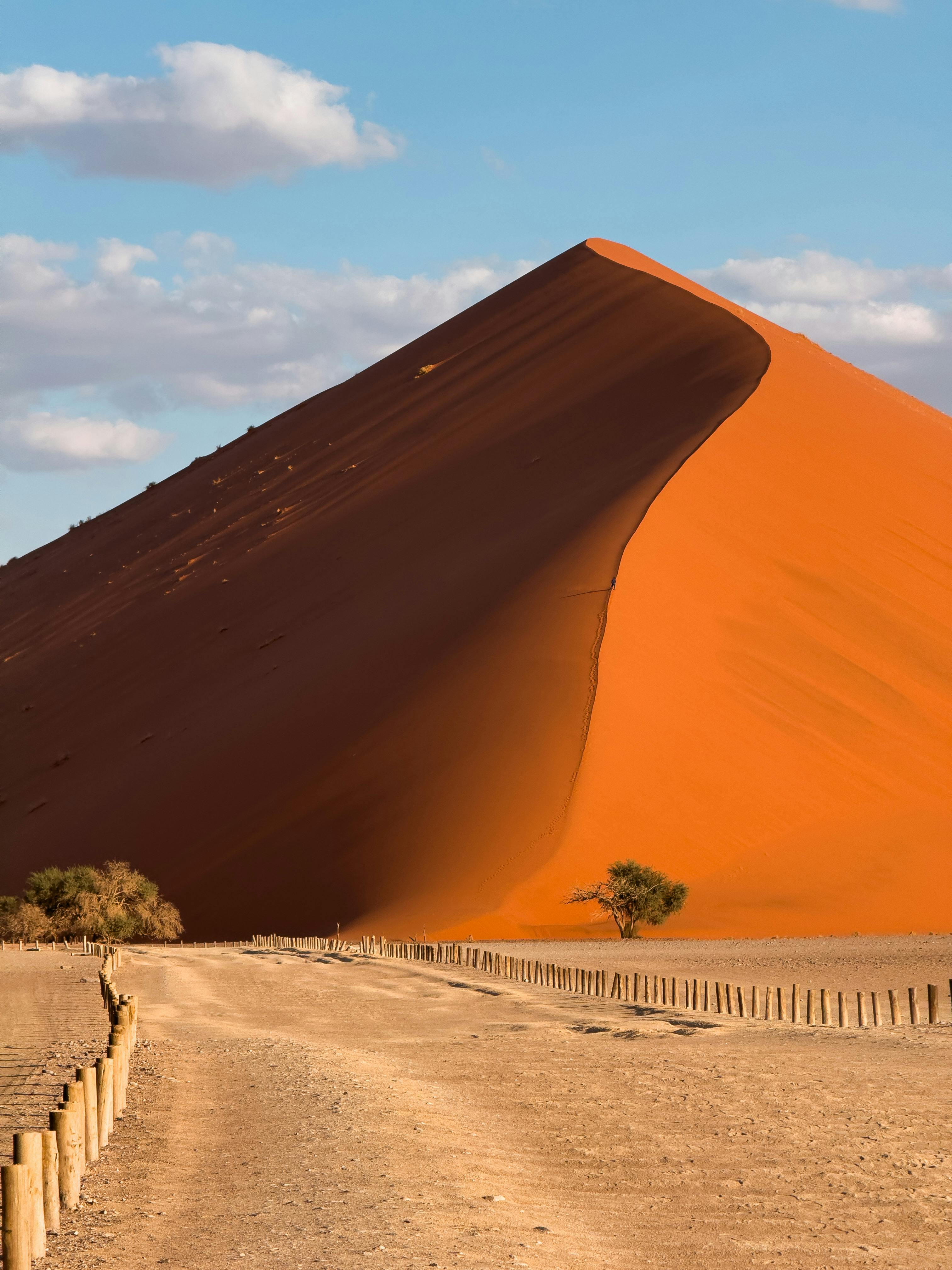 Golden sands of Dune 45 in Sossusvlei, Namibia, shining in the sunrise light.