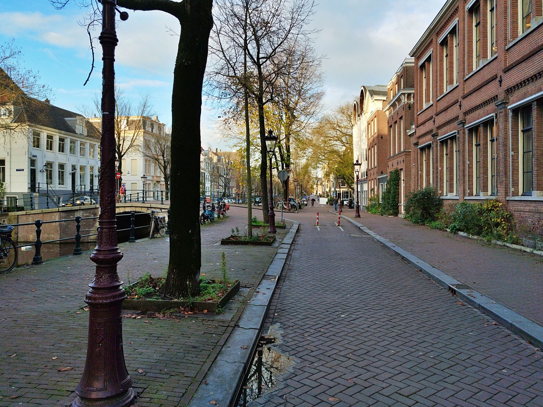 Wegen en stoepen in Landgraaf ondermaats, politie onderzoekt dood van hond