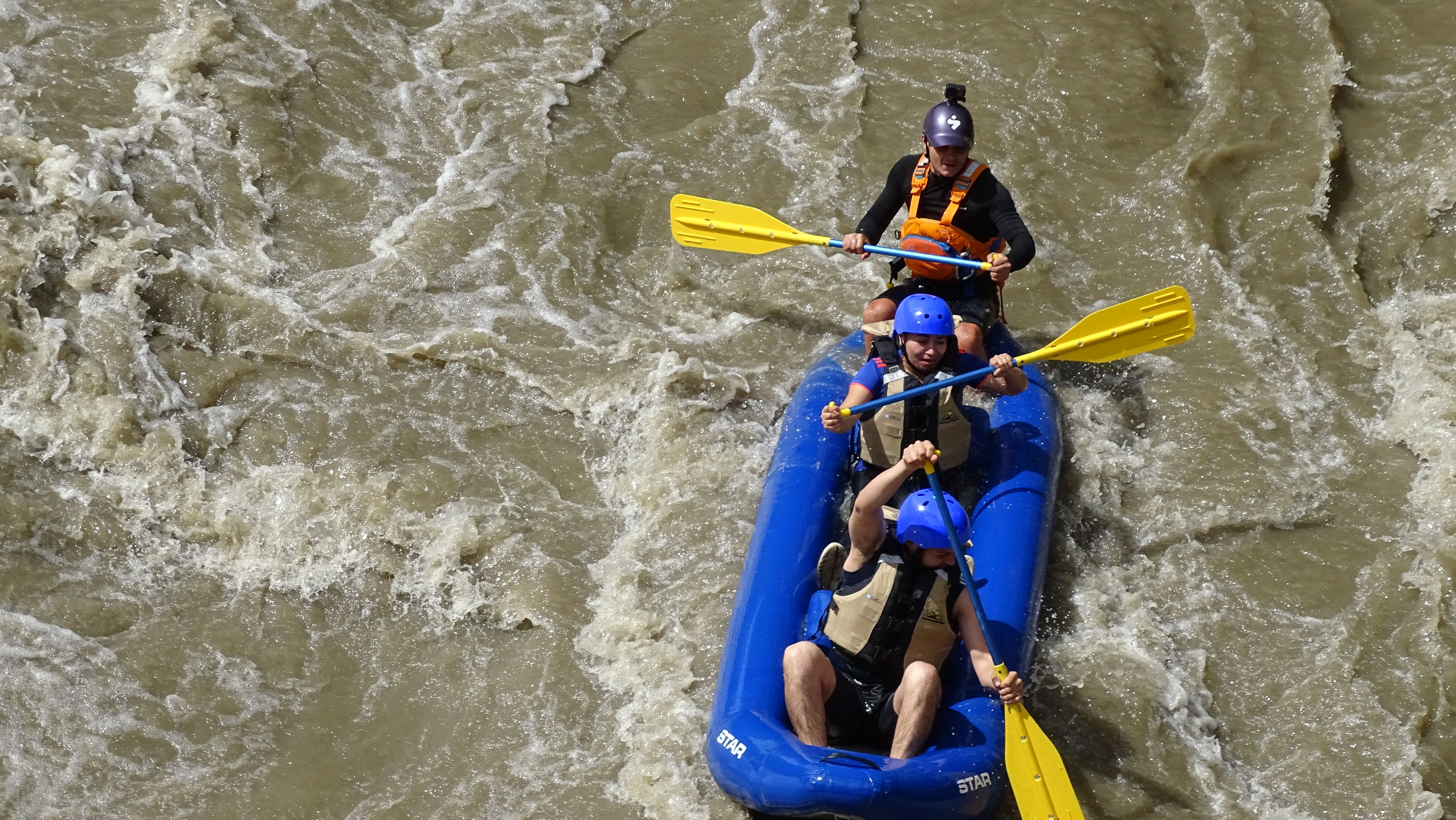 AI Skills for Life and Work: Rapid Evidence Review — Photo by RAFTING CHICAMOCHA on Pexels