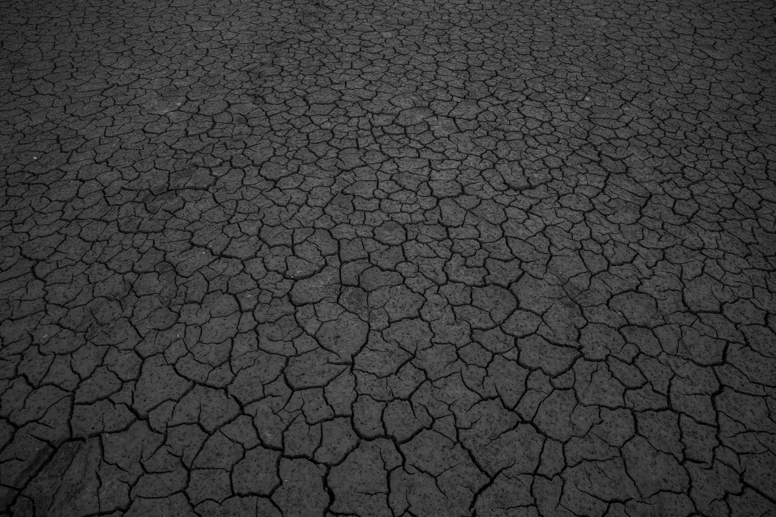 麗富康國際榮獲首屆ESG for Culture影響力雙獎肯定